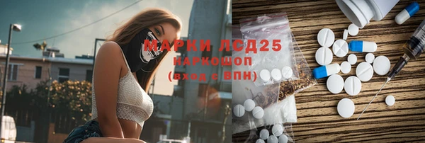 ПСИЛОЦИБИНОВЫЕ ГРИБЫ Вязники