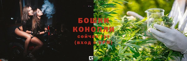 мдпв Горнозаводск