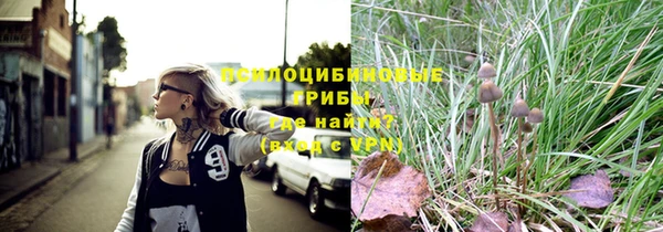 ПСИЛОЦИБИНОВЫЕ ГРИБЫ Вязники