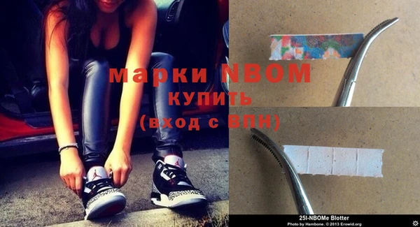 ПСИЛОЦИБИНОВЫЕ ГРИБЫ Вязники