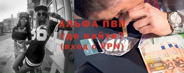 ПСИЛОЦИБИНОВЫЕ ГРИБЫ Вязники