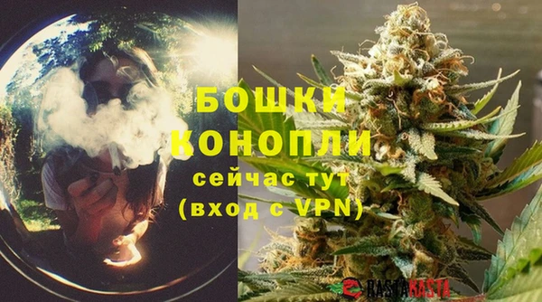 ПСИЛОЦИБИНОВЫЕ ГРИБЫ Вязники