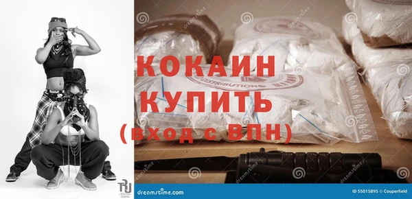 ПСИЛОЦИБИНОВЫЕ ГРИБЫ Вязники