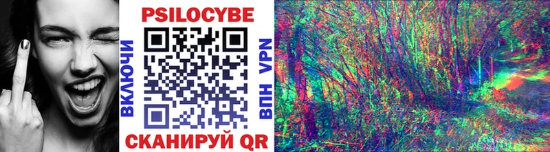 Псилоцибиновые грибы Psilocybe  Купить где  Клинцы 